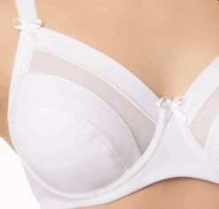 Reggiseno Senza Ferretto In Microfibra E Tulle Sempre Donna Art.351 5 Reggiseno Senza Ferretto In Microfibra E Tulle Sempre Donna Art.351 -Stile Intimo Negozio 351b