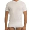 Maglia Uomo Garda Art.042 -Stile Intimo Negozio cattura.jpg042